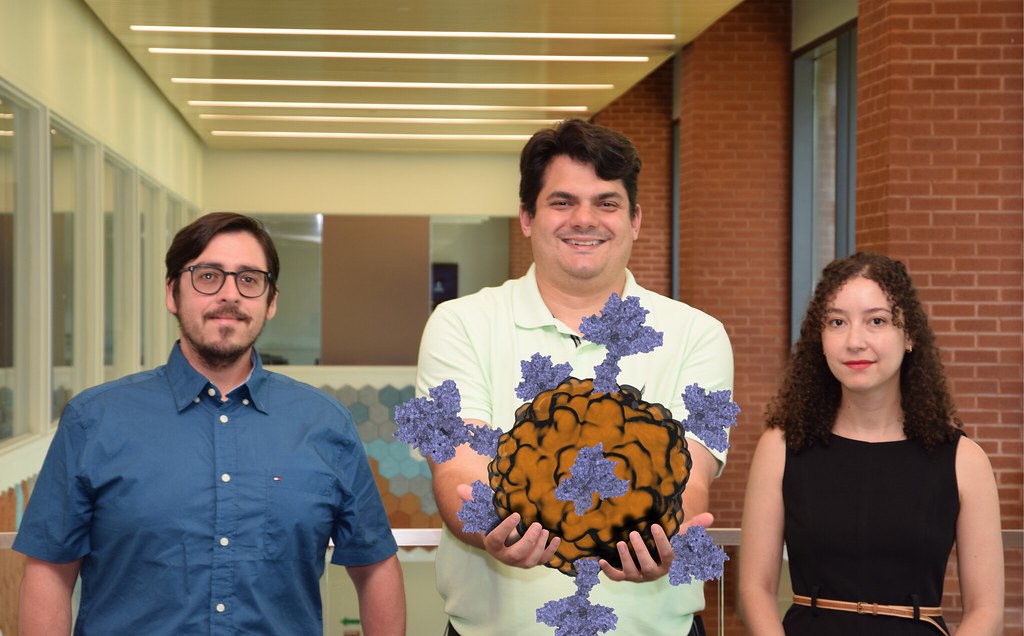 FIGHTING THE GOOD FIGHT: Assistant professor investigating cancer-altering Reovirus