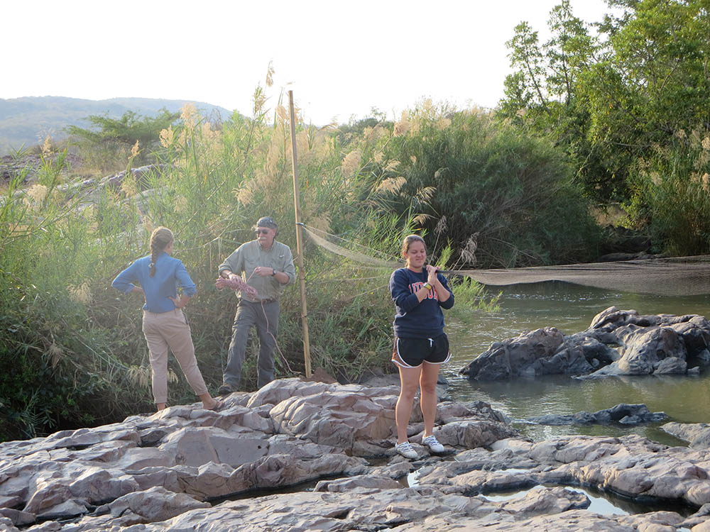 Students with a net at a stream in Swaziland