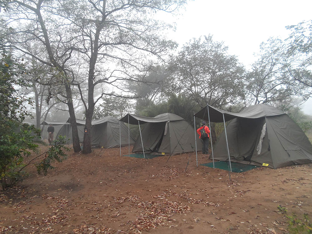 Tents set up in a row for lodging