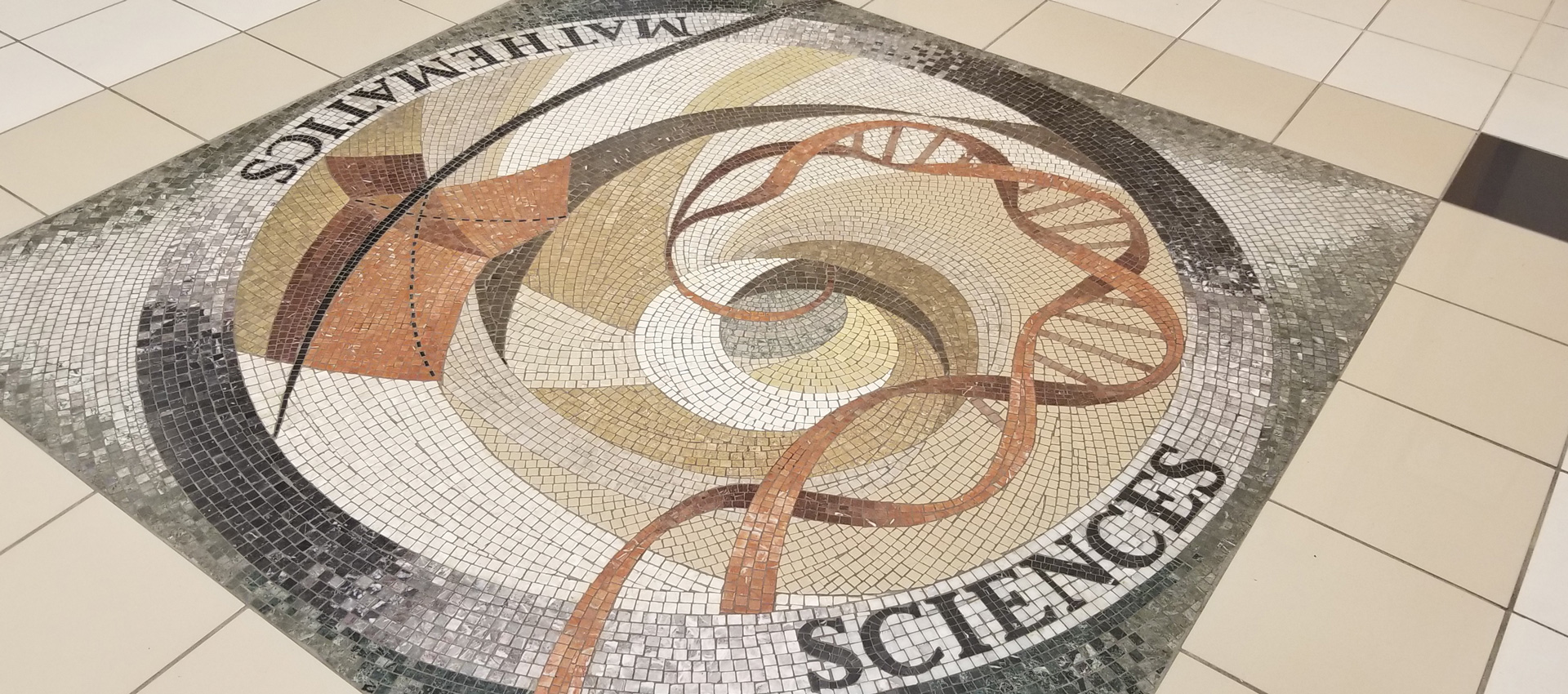 overhead view of the mosaic found in the Sciences Center Auditorium lobby