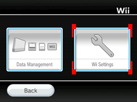 Wii - Wii Settings