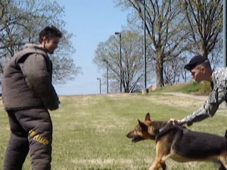 When clicked, Show linked file.