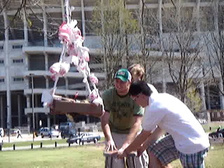 When clicked, Show linked file.