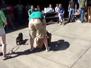 When clicked, Show linked file.