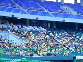 When clicked, Show linked file.