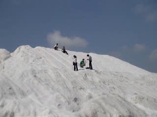 When clicked, Show linked file.