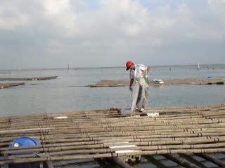 When clicked, Show linked file.