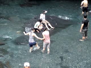 When clicked, Show linked file.