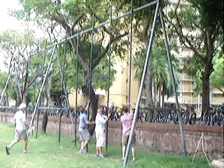 When clicked, Show linked file.