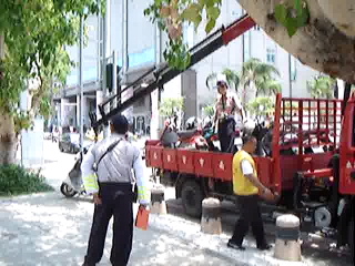 When clicked, Show linked file.