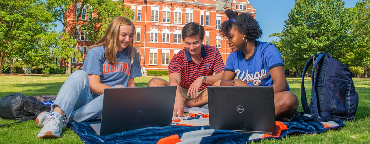 Three students workon laptops on Samford lawn..