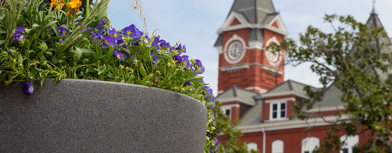 A view of the clocktower of Samford Hall.