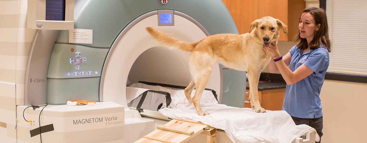 A person works in a science lab.