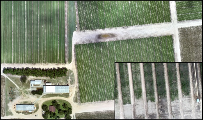 A view of a field from a drone.