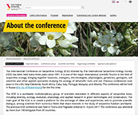 Conference website