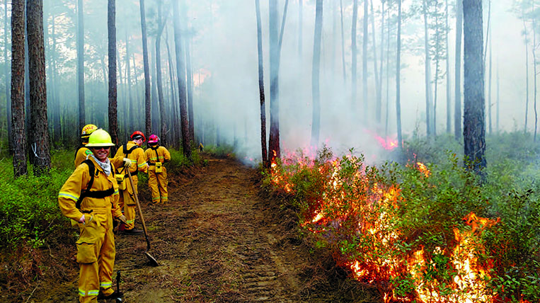 Firefighters practice wildfire prevention techniques.