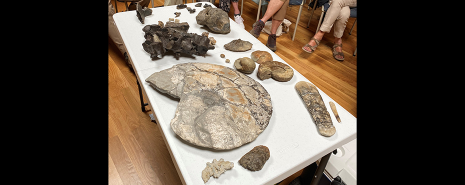 A picture containing a table with ammonite and fossilized teeth and bones. Behind the table are 9 adults seated and standing.