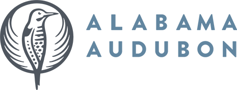 Alabama Audubon with outline of bird