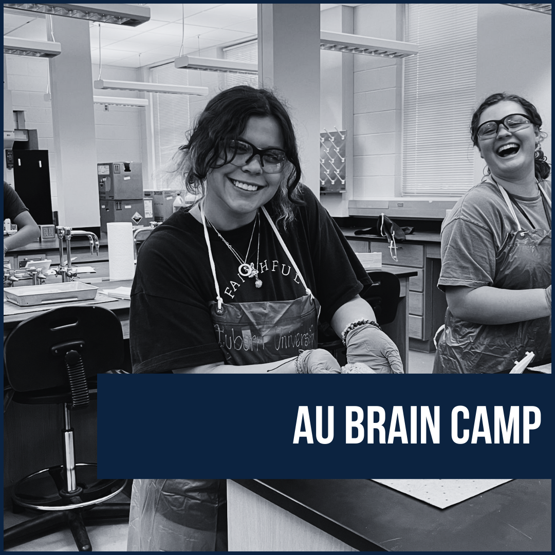 Two female campers at a table dissecting a brain