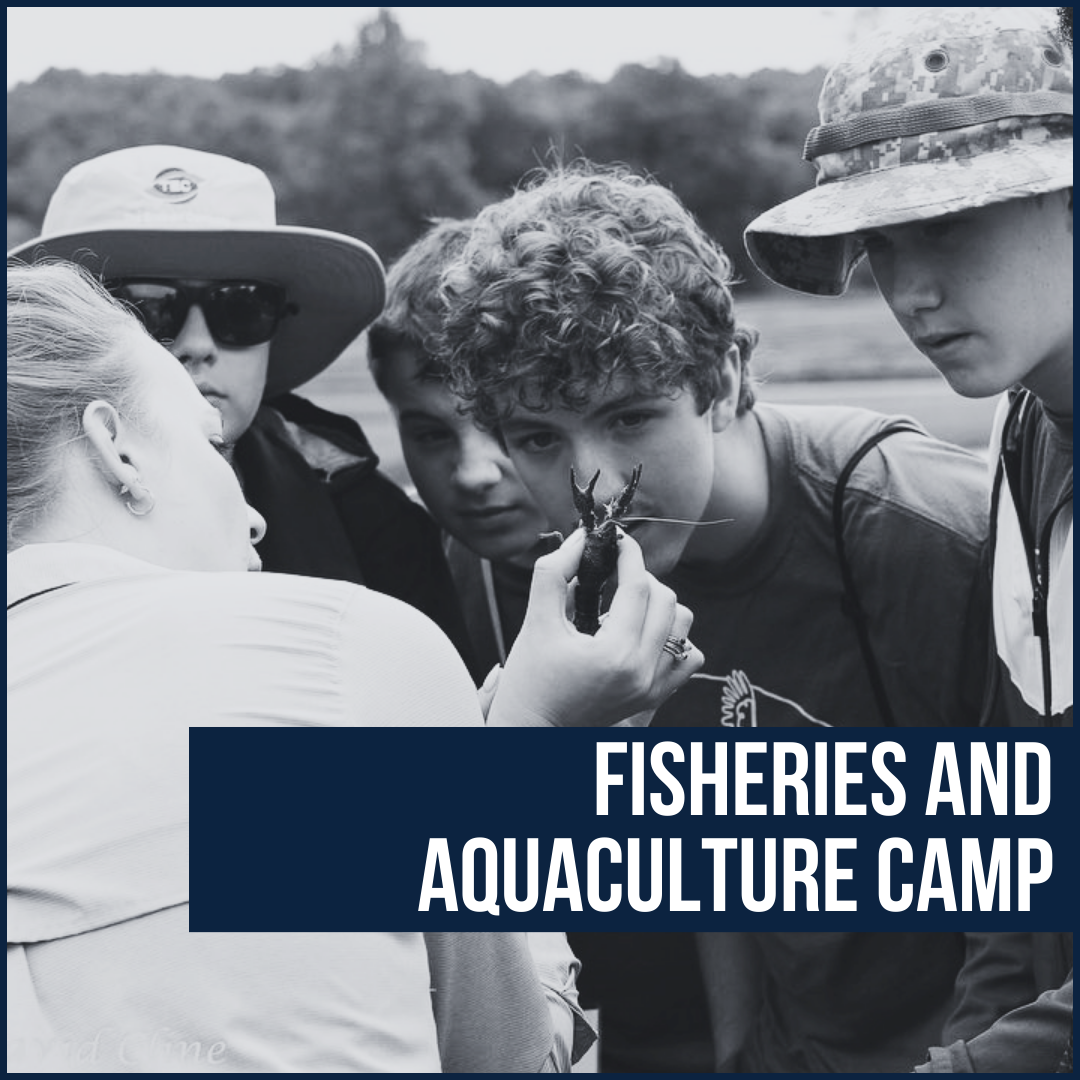 Female teacher holding a fish and four male campers looking at the fish while outside