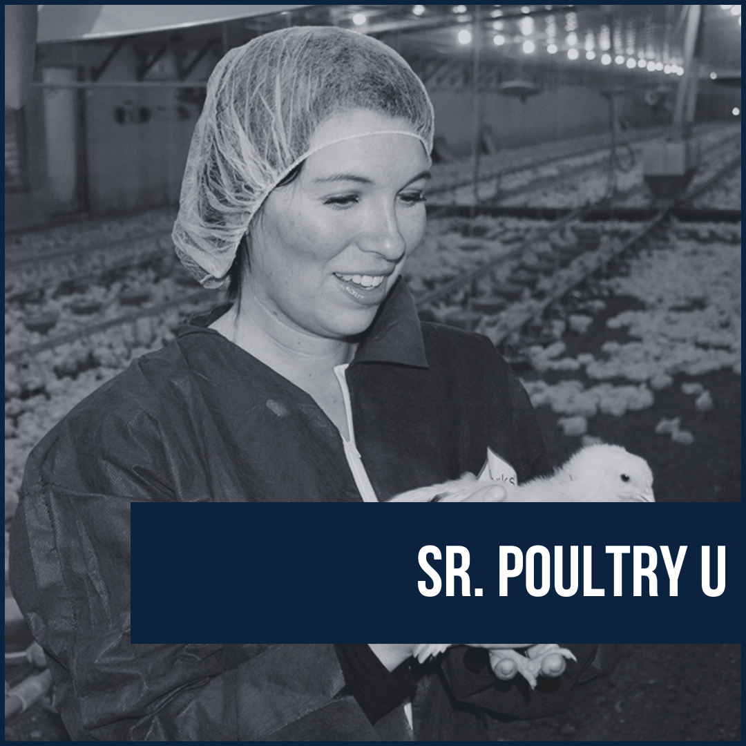 Girl holding a baby chick inside the breeding facility