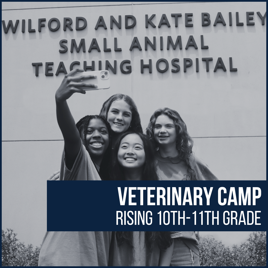 Four girls taking a selfie outside the Wilford and Kate Bailey Small Animal Teaching Hospital