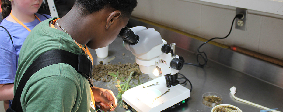 Students looking at plants under a microscope