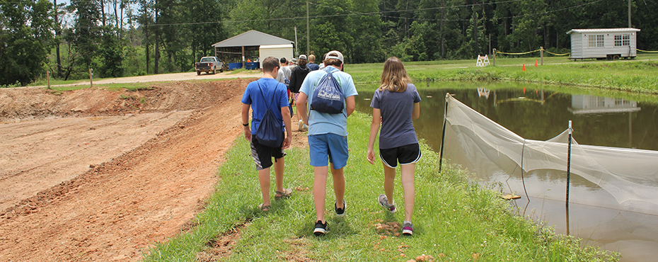 Students walking near a pond