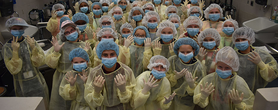 The group of students show off their sterile safety gear in one of the examination rooms at the Veterinary School.