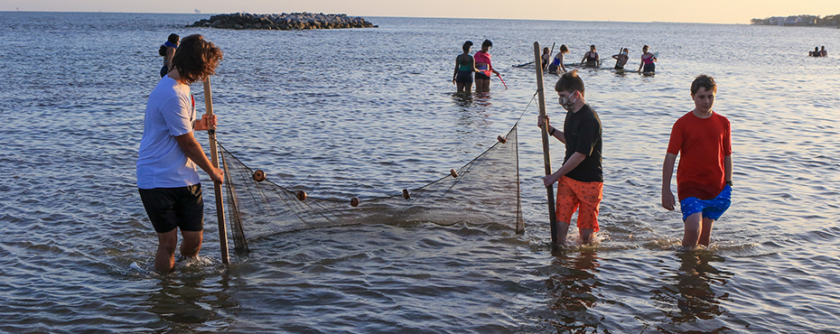 Students casting a net in the ocean