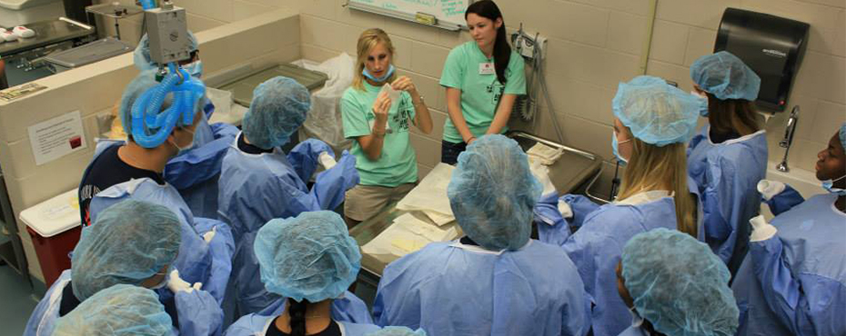 A group of students dressed in their sterile scrubs, listen to two instructors explain proper surgical room etiquette.