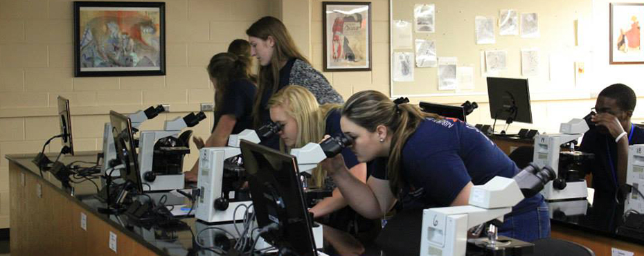 Students look at cells from different types of animals in through a microscope in one of the veterinary school classrooms.