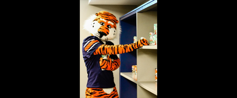 Aubie stocking shelves at the food pantry. 