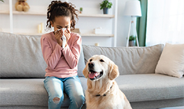 Young girl blowing her nose while sitting on a couch next to dog