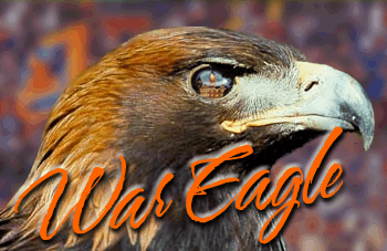 Eagle Eye Alabama image